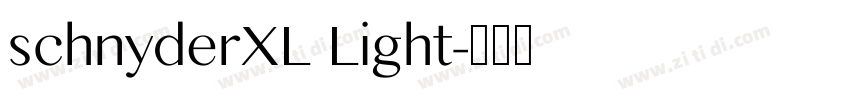 schnyderXL Light字体转换